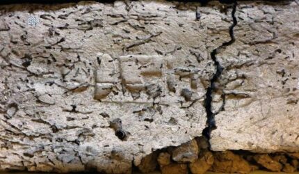 Mudbrick EA 32689 Dari Kuil Ahmose di Abydos