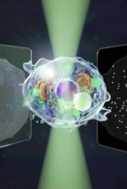 berita-rekomendasi-foto