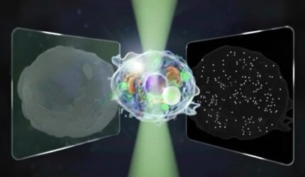 “Mikroskop Terpadu yang Hebat” Mengungkapkan Dunia Mikro dan Nano yang Tersembunyi di Dalam Sel Hidup