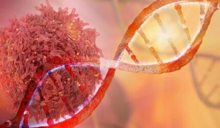 Untai DNA dan Onkologi Sel Kanker