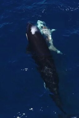 berita-rekomendasi-foto