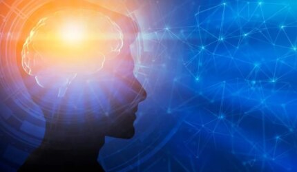 Pola Pikir Jenius. Adaptasi Perkembangan Otak Kecerdasan