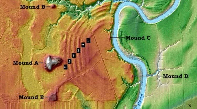 foto slider headline