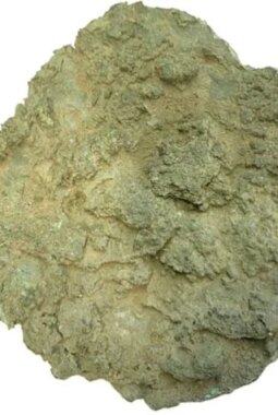 berita-rekomendasi-foto