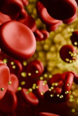 berita-rekomendasi-foto