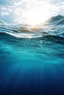 berita-rekomendasi-foto