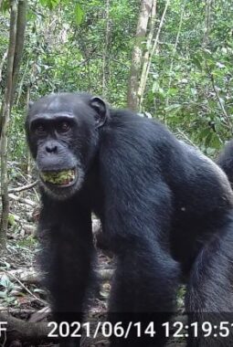 berita-rekomendasi-foto