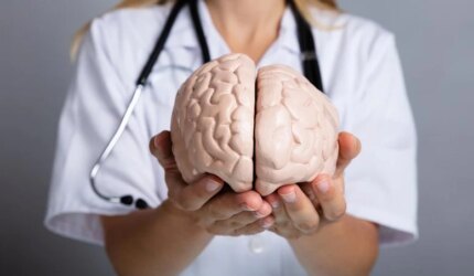 Model Otak Memegang Dokter