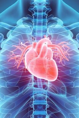 berita-rekomendasi-foto