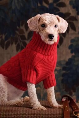 berita-rekomendasi-foto