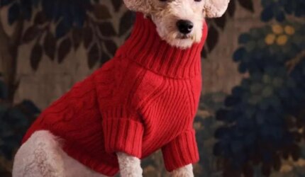 Psikologi Dibalik Tren Natal Ralph Lauren Dan Mengapa Ini Menang di Tahun 2025