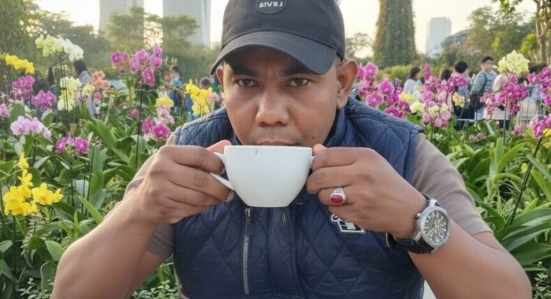 foto slider headline