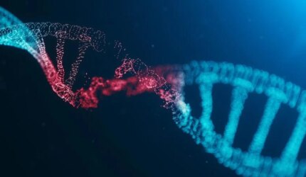 Mutasi Genetik Molekul DNA