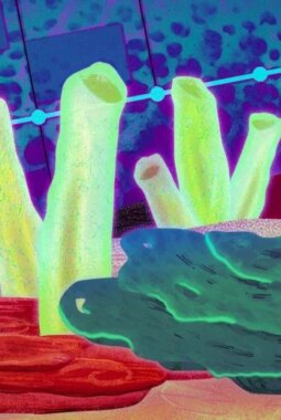 berita-rekomendasi-foto