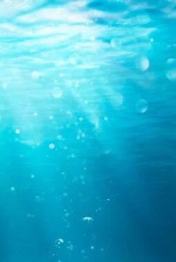 berita-rekomendasi-foto