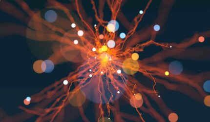 Konsep Katalis Kimia