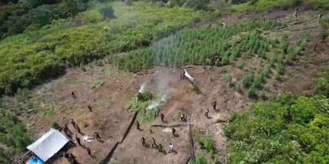 foto slider headline