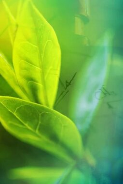 berita-rekomendasi-foto