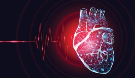 Detak Jantung Wireframe Jantung Manusia