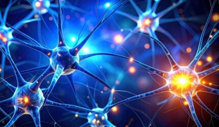 Struktur Kompleks Neuron Otak Akson Dendrit