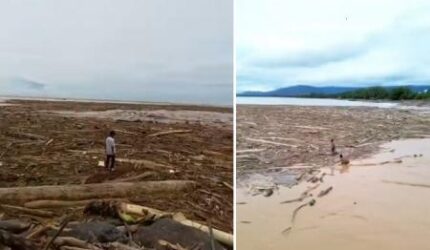 Viral Penampakan Gelondongan Kayu usai Banjir Bandang di Pantai Padang, Punya Siapa?