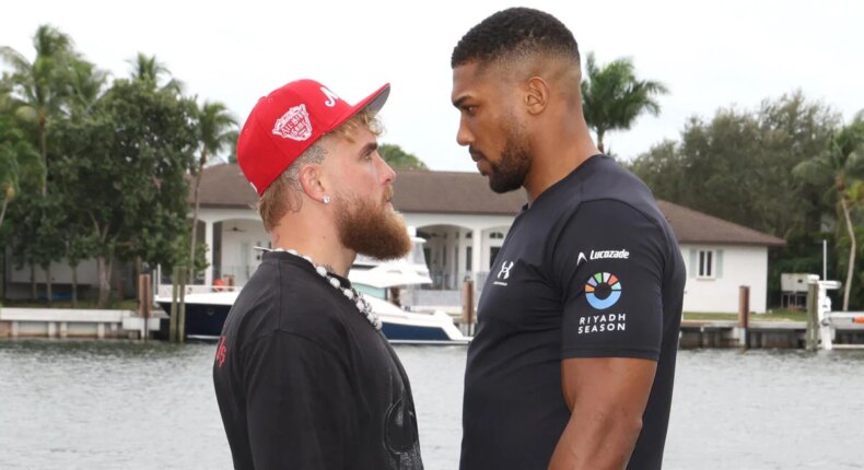 foto slider headline