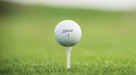 Bola Golf Titleist (Ist)