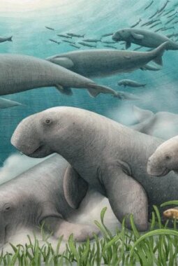 berita-rekomendasi-foto