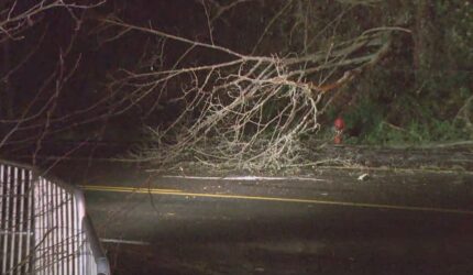 Ini adalah kecepatan angin tertinggi yang tercatat dalam semalam dalam badai Washington bagian barat