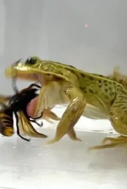 berita-rekomendasi-foto