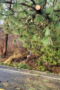 berita-rekomendasi-foto