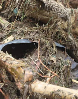 berita-rekomendasi-foto