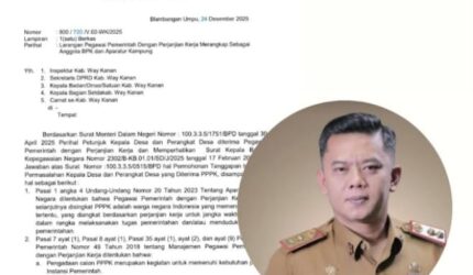 PPPK Paruh Waktu: Dilarang Merangkap Jabatan, Batas Waktu Seleksi Sampai 31 Desember