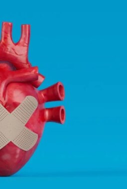 berita-rekomendasi-foto