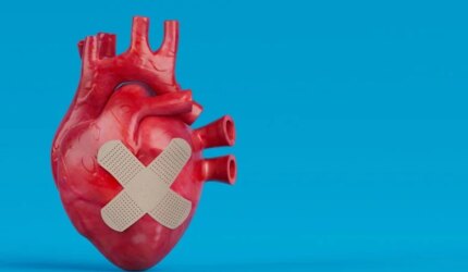 Perban Kesehatan Anatomi Jantung Manusia