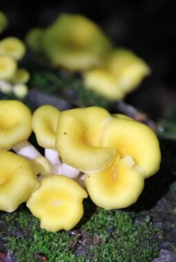 berita-rekomendasi-foto