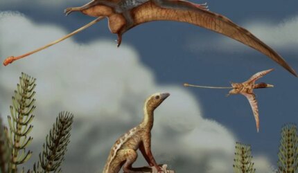 Rekonstruksi Lanskap Trias Akhir