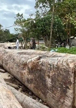 berita-rekomendasi-foto