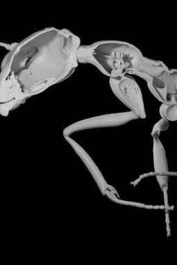 berita-rekomendasi-foto