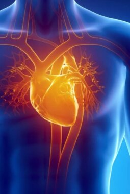 berita-rekomendasi-foto