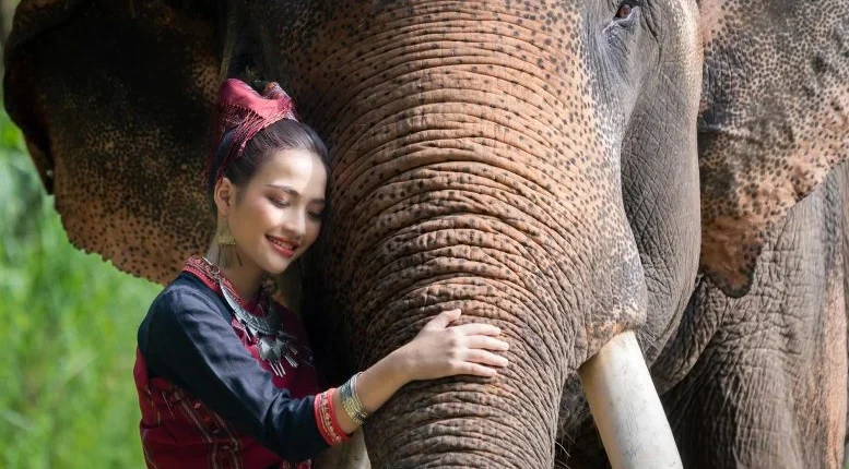 foto slider headline