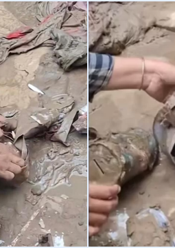 berita-rekomendasi-foto