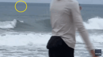 Hiu putih besar menerobos dekat boogie boarder dalam video di Pantai Newport