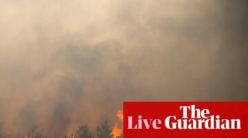 Kebakaran hutan di Eropa: lebih dari 300.000 orang mengungsi dari rumah dan akomodasi liburan saat kebakaran berkobar | Kebakaran hutan